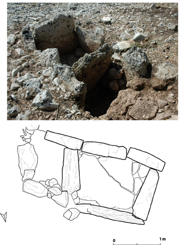 Figura 24 - Foto e planimetria della tomba 2 (da Bietti-Sestieri - Scardozzi 2010)